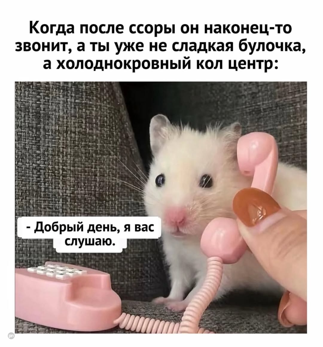 Звонок после ссоры 🤫