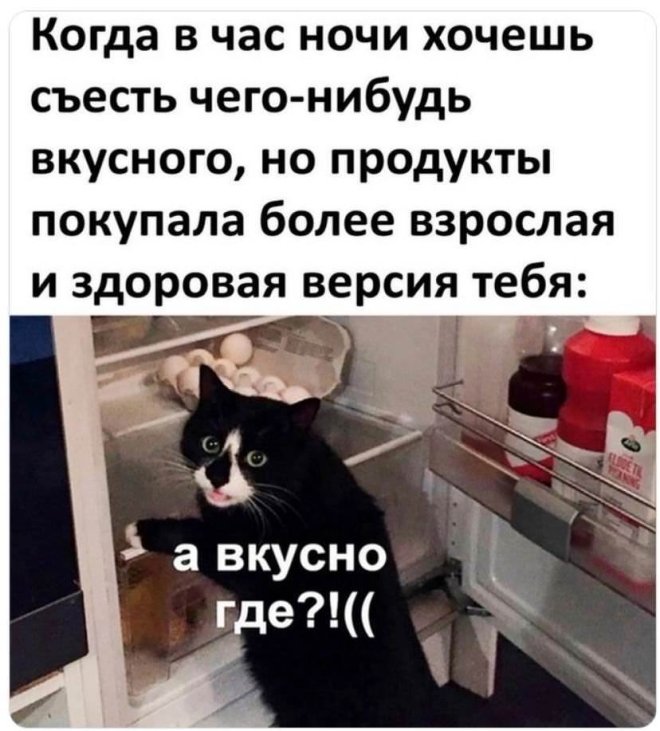 Мем на день
