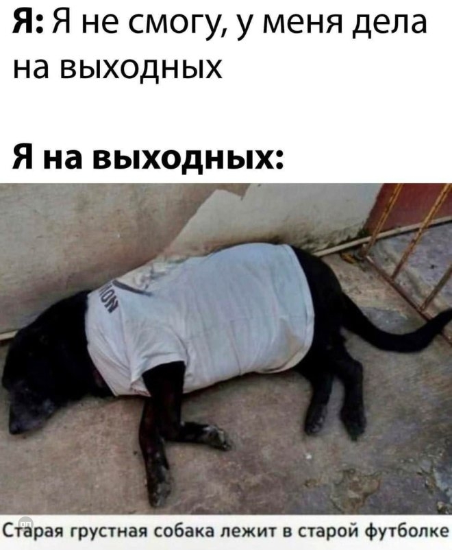 Когда всем сказал что у тебя дела на выходных