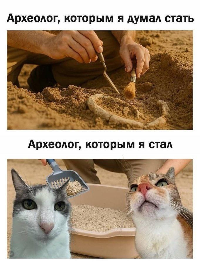 Когда мечтал стать археологом: Ожидание и Реальность