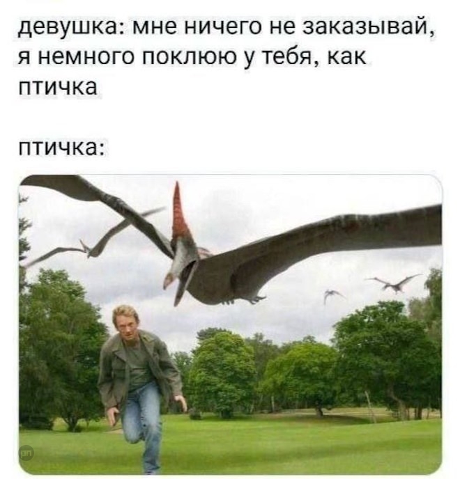 Когда девушка сказала что кушает как птичка