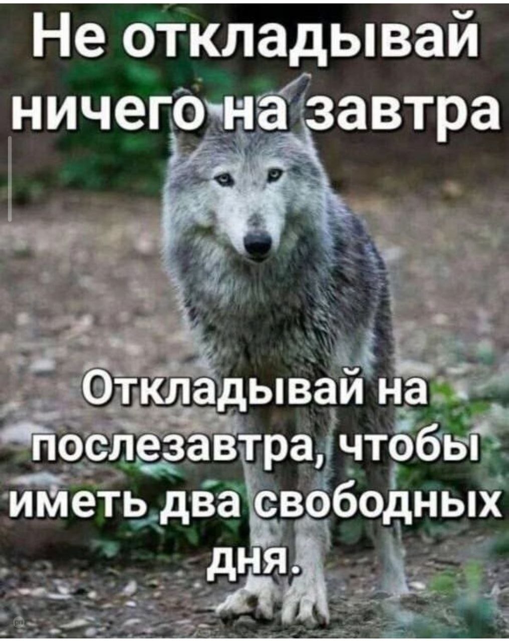 Не откладывай ничего на завтра