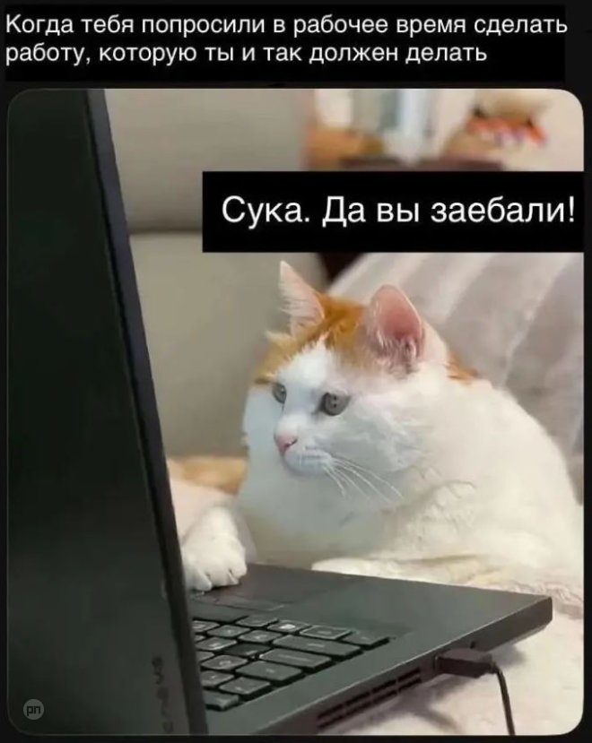 Когда просят сделать работу на работе