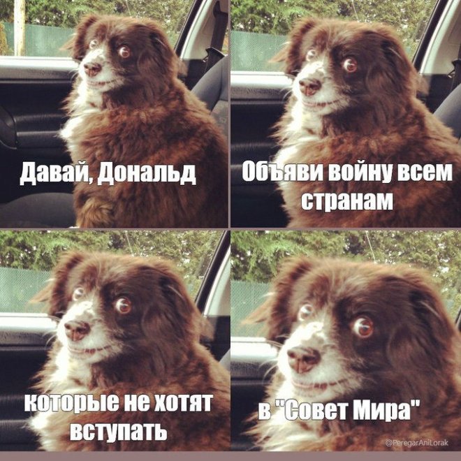 Юмор в картинке с надписью