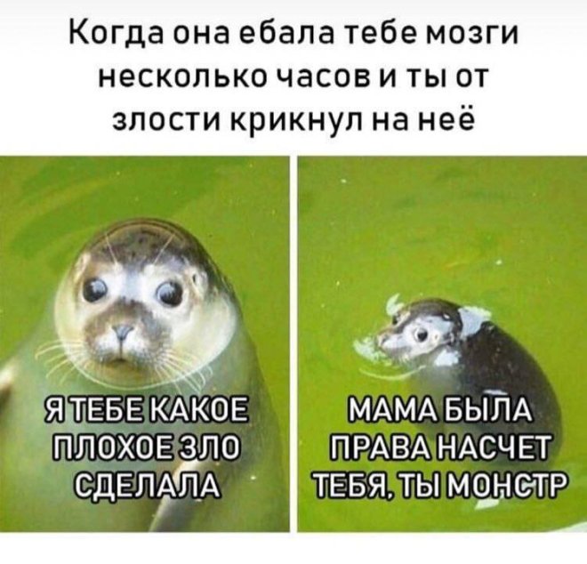 Смешной мем