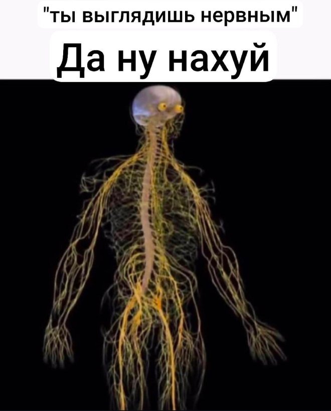 Отборный юмор