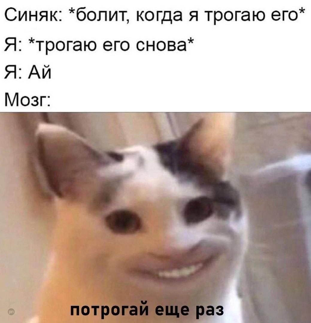 Иногда мозг издевается над нами