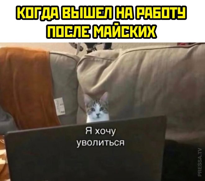 Мем