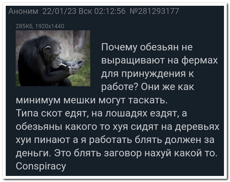 Смешной коммент