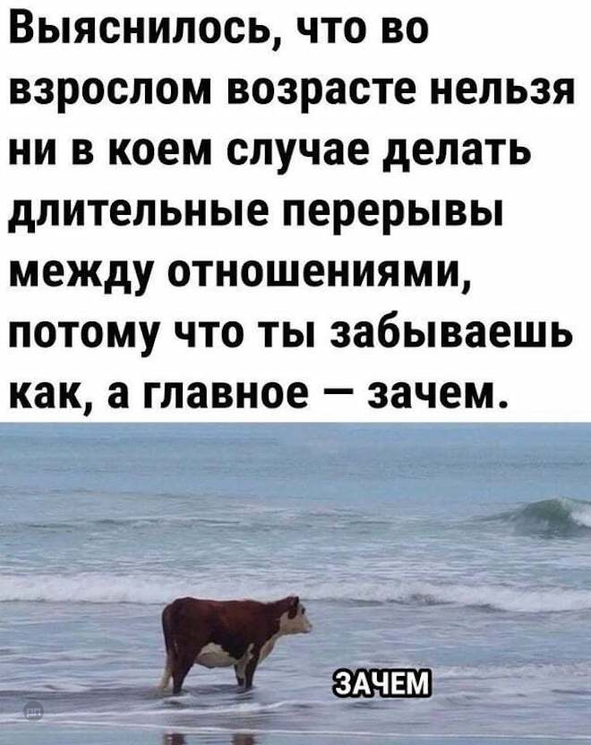 Про отношения