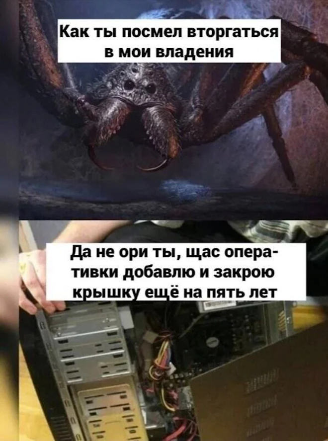 Отборный юмор