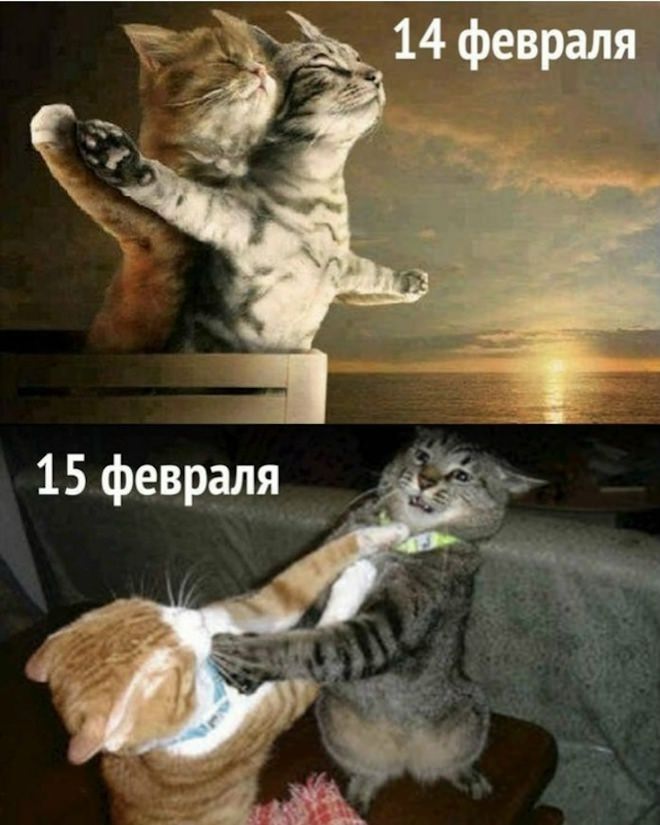 Смешной мем