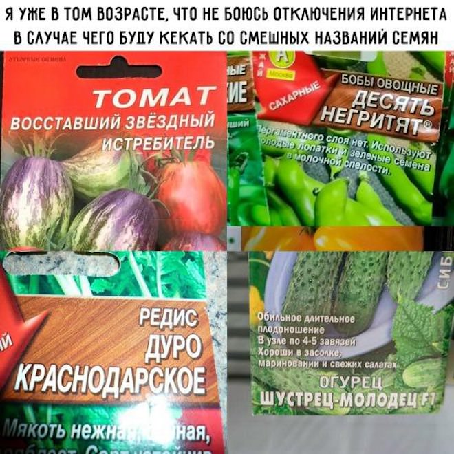 Смешные картинки