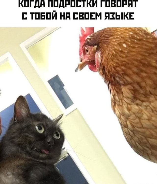 О современном сленге молодежи