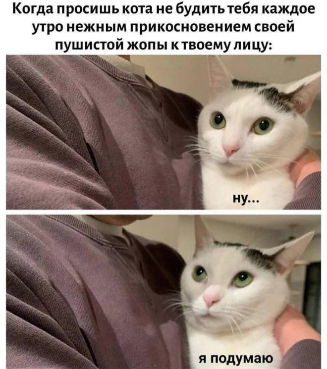 Смешные картинки