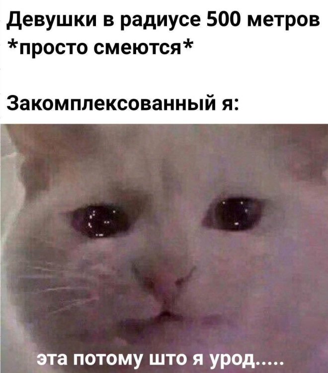 Мем на день