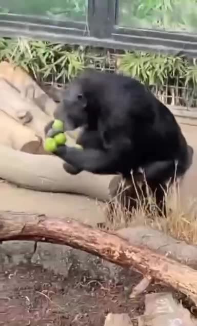 Все забрал - чтобы два раза не ходить