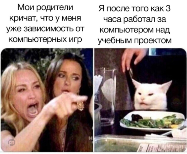 Мем про котиков