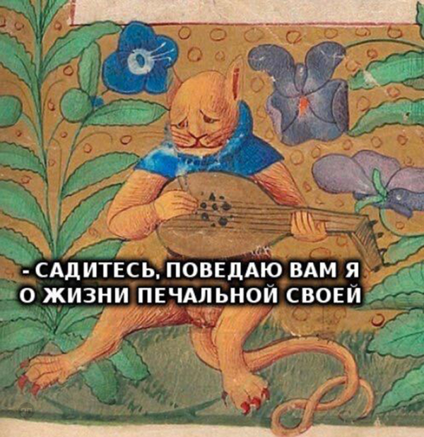 Мем про котиков