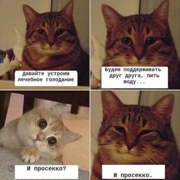 Мем про котиков