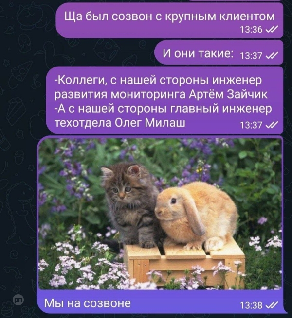 Мем про котиков