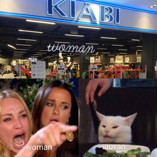 Мем про котиков