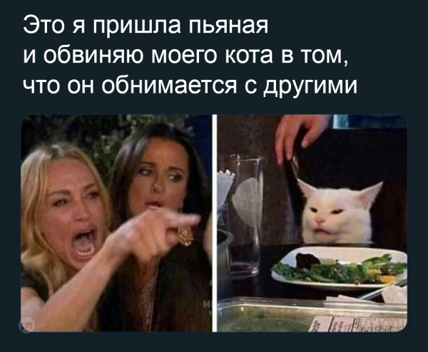 Мем про котиков