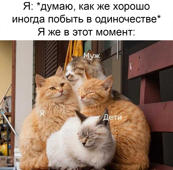 Мем про котиков