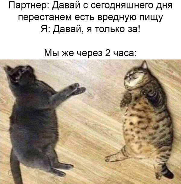 Мем про котиков