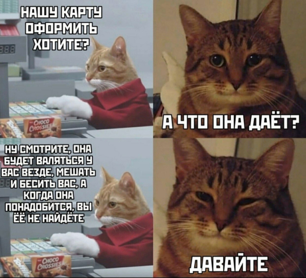 Мем про котиков