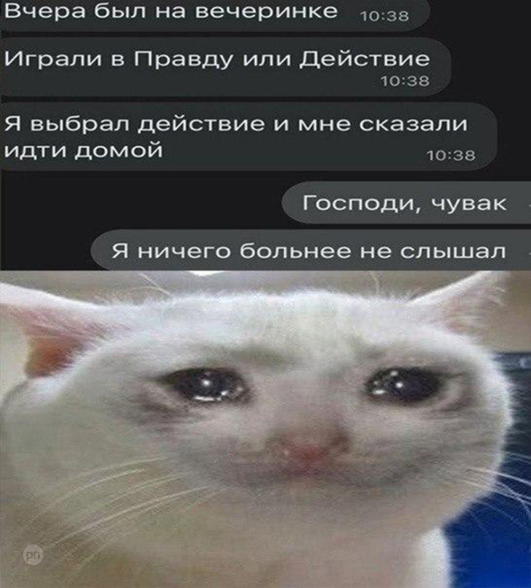Мем про котиков