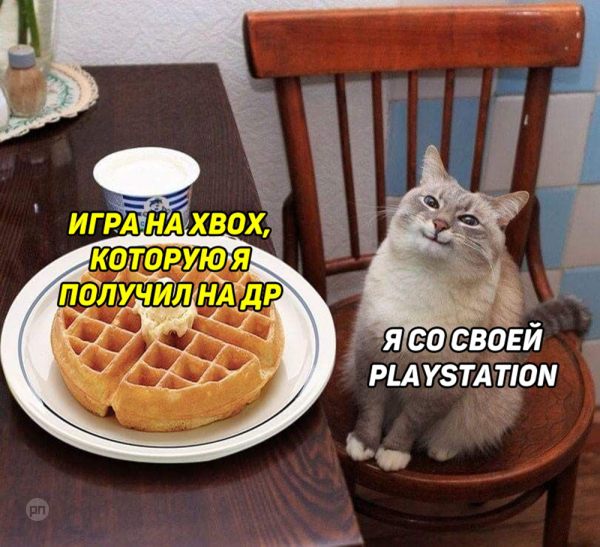 Мем про котиков
