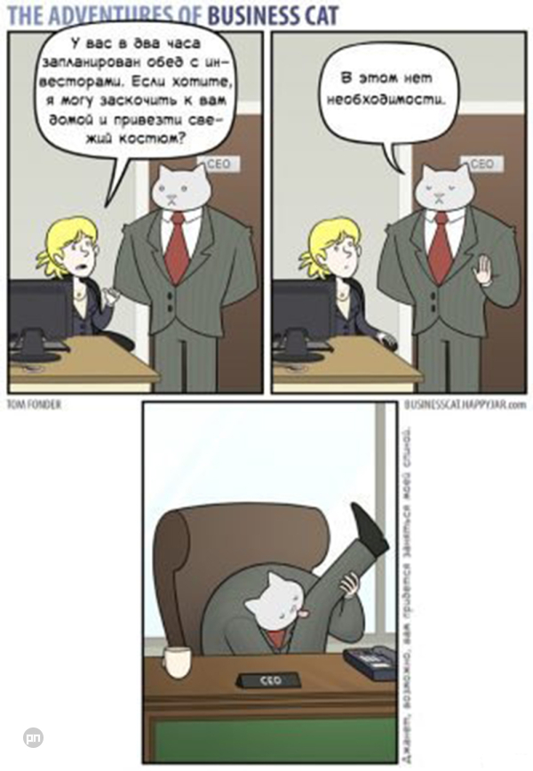 Мем про котиков