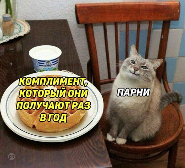 Мем про котиков