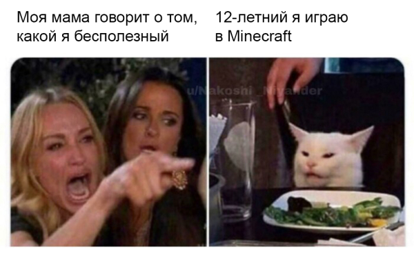 Мем про котиков