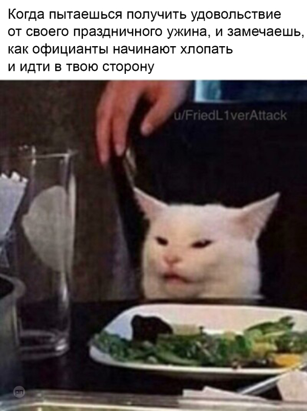 Мем про котиков
