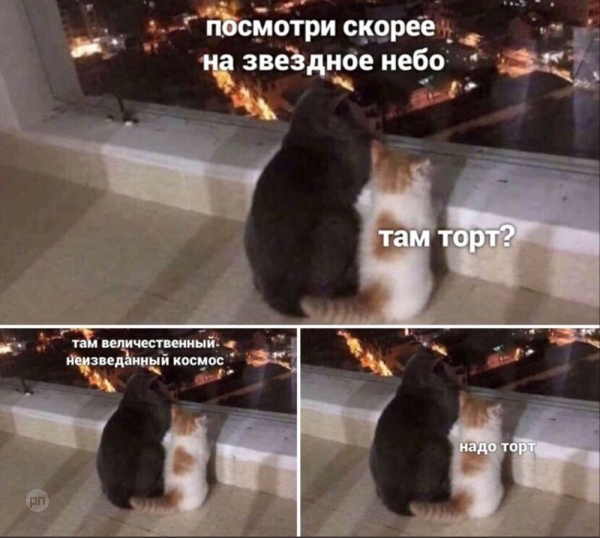 Мем про котиков
