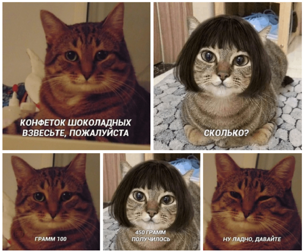 Мем про котиков