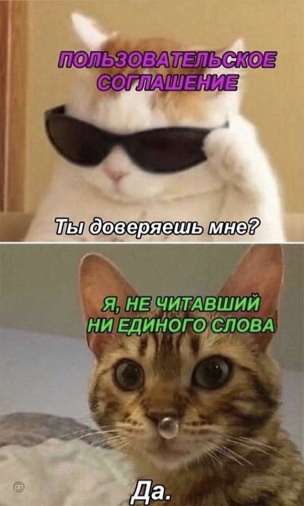 Мем про котиков