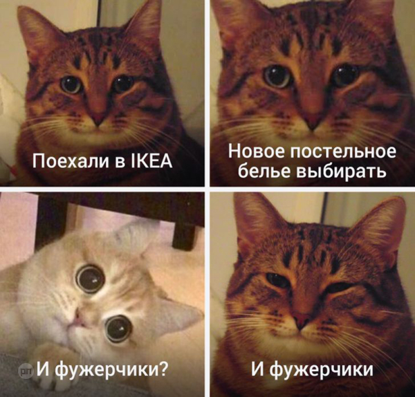Мем про котиков