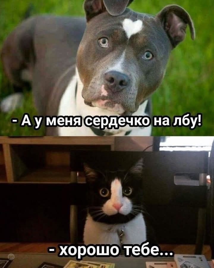 Когда кому-то повезло больше — прикол на Prikola.net