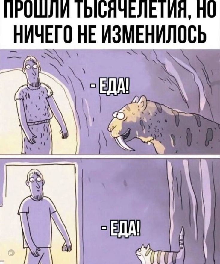 Про кошек и их отношению к нам — прикол на Prikola.net