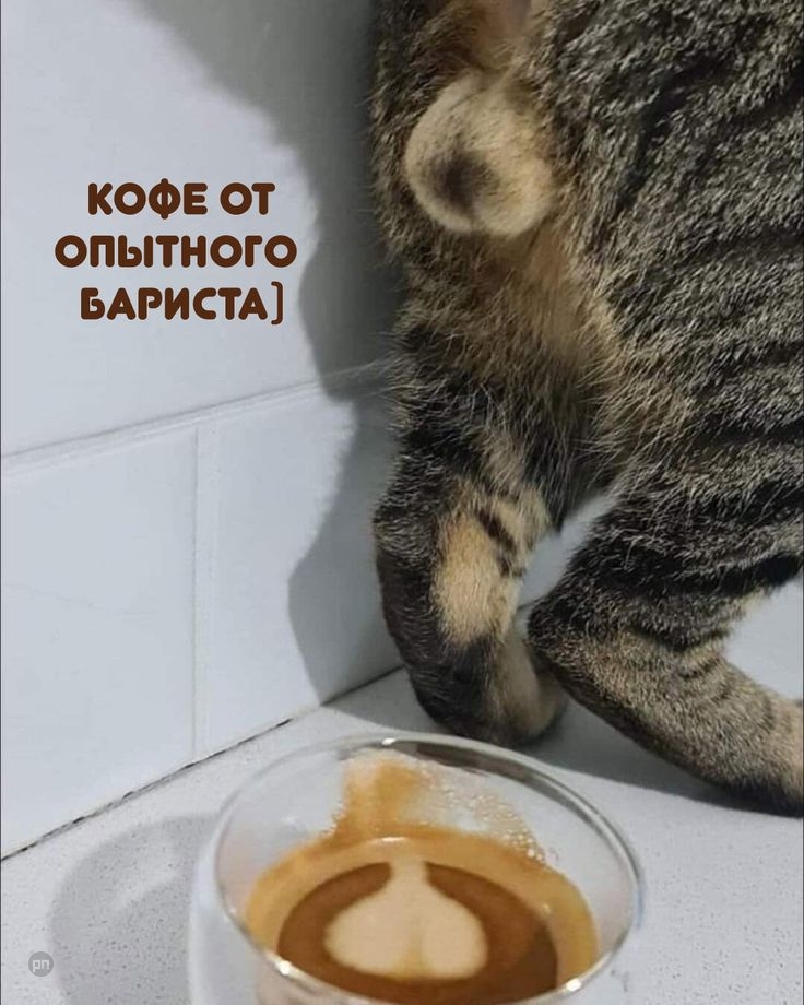 Кофе от опытного бариста — прикол на Prikola.net